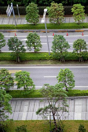 業界で車検大手会社が重要になっている