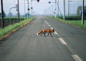一宮市の車検で最も選ばれているお店